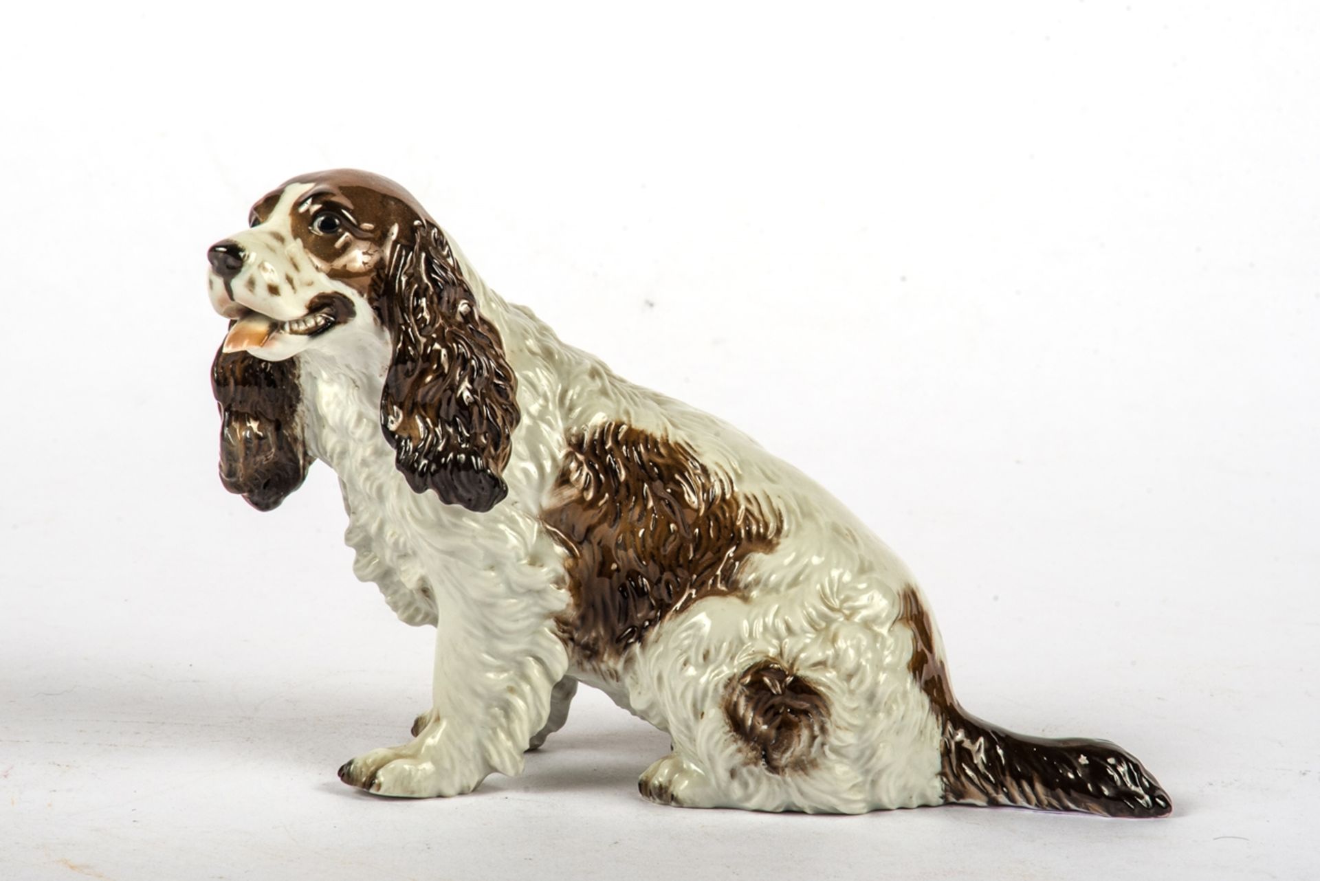 Rosenthal Selb Cocker Spaniel 