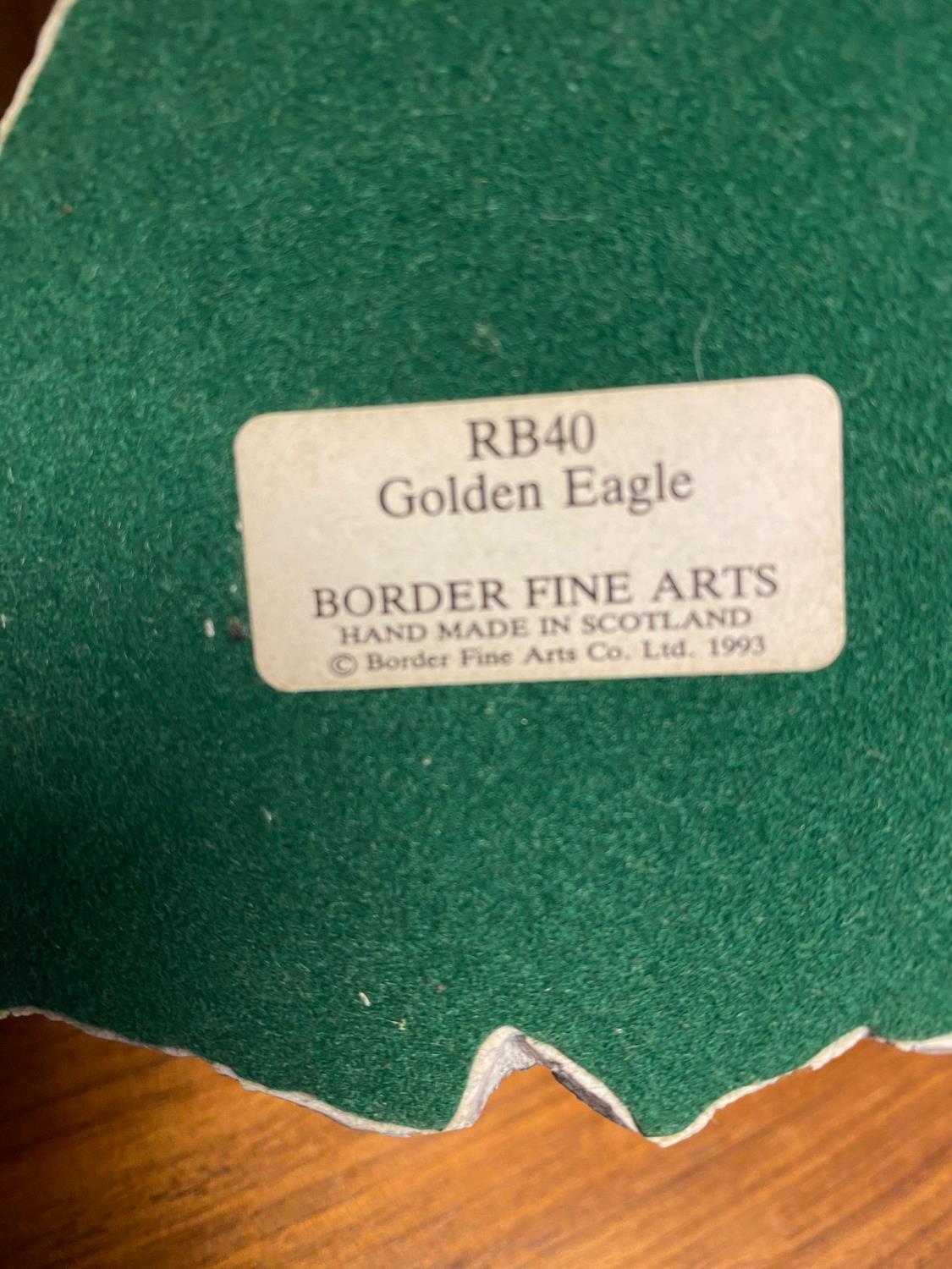 Border Fine Arts RB40 Golden Eagle with box - Image 2 of 2