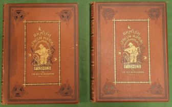 Reverend W Houghton Antiquarian 19th Cent 2-volume Hardback Book set of 'British Fresh-Water Fishes'