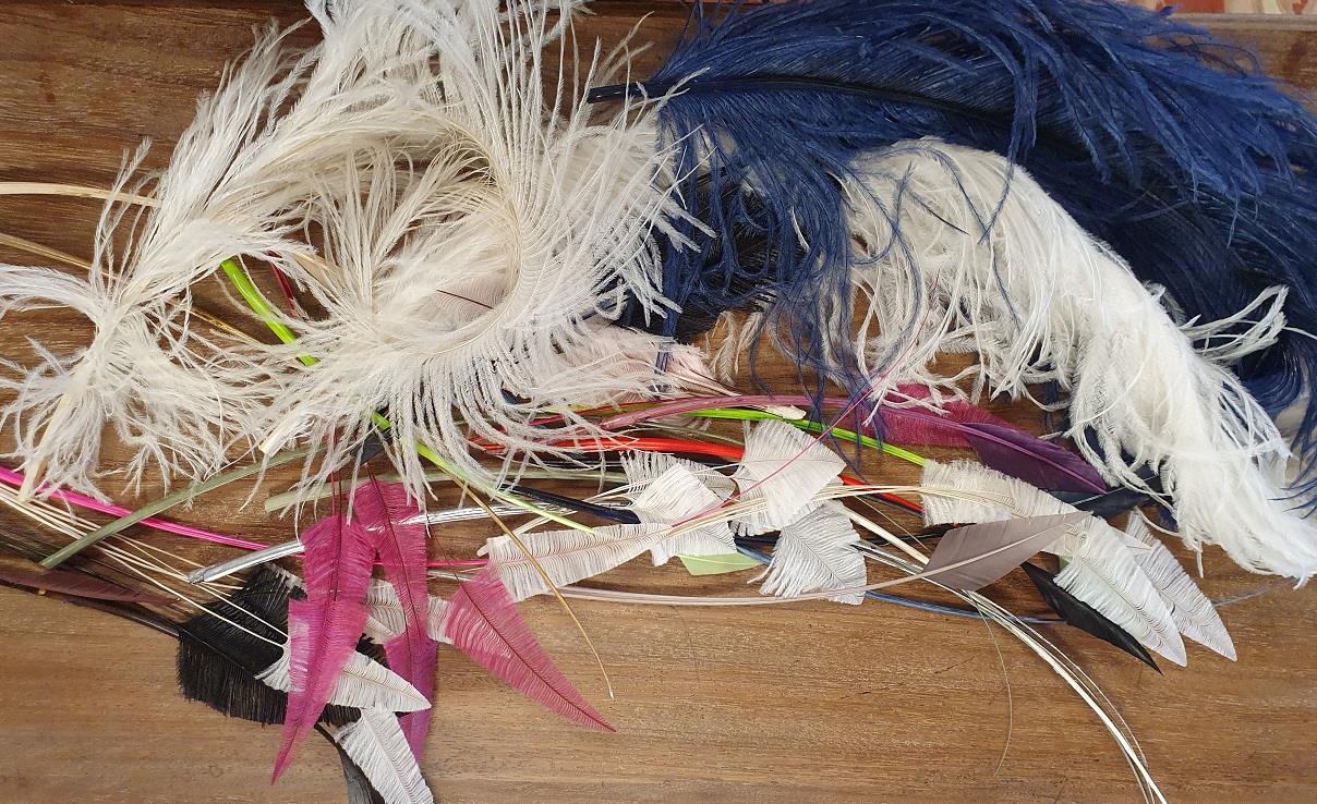 Selection of Milliners Peacock and strich Feathers, Quills, Sprays and Fringes - Image 4 of 8