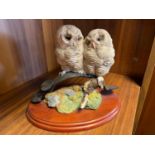 Border Fine Arts A5206 Double Tawny Owlets. Unboxed