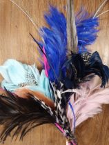 Selection of Milliners Prime Ostrich Feathers, Quills and Plumes, Together with Steyer feather pads