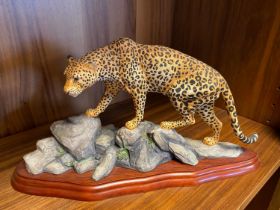 Border Fine Arts A3065 Leopard from the Wild World series. Unboxed