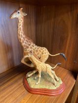 Border Fine Arts A5407 Giraffe from the Wild World series. Unboxed