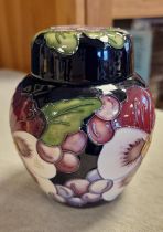 Moorcroft 'Study in Velvet' Floral Ginger Jar, 1st Qual by Rachel Bishop, 4.5" high