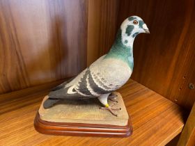 Border Fine Arts A1862 Racing Pigeon from the Sporting Birds series with original box