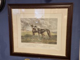 Waterloo Cup Greyhound Racing 1880 - London Etching by George Rees, Engraved by Hunt & Sons - 81x70c