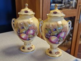 Aynsley Signed Doris Jones Pair of Fruits Twin Handled Footed Urns