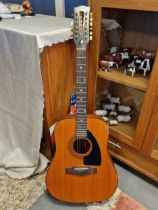 EKO Vintage 12-Twelve String Acoustic Guitar