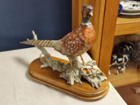 Large Pheasant Farming Hunting Figure