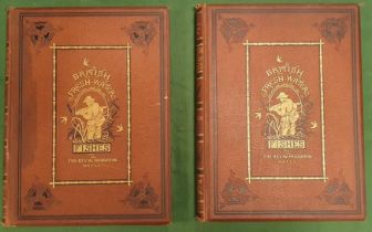 Reverend W Houghton Antiquarian 19th Century 2-volume Hardback Book set of 'British Fresh-Water Fish