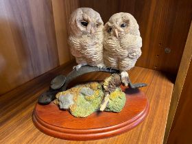 Border Fine Arts Tawny Owls Figure