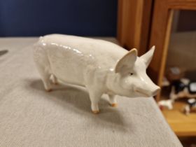 Beswick Pig Ch Wall Ch Boy - 53 7.5cm x 16.5cm