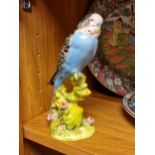 Beswick Blue Breasted Budgie / Budgerigar with box 17cm high