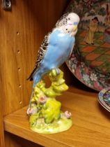Beswick Blue Breasted Budgie / Budgerigar with box 17cm high