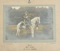 Photograph of Pedro the Drum Horse from 18th (Queen Mary's Own) Hussars