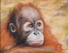 Carla Hixon (British Contemporary) Pair of Orangutan Portraits