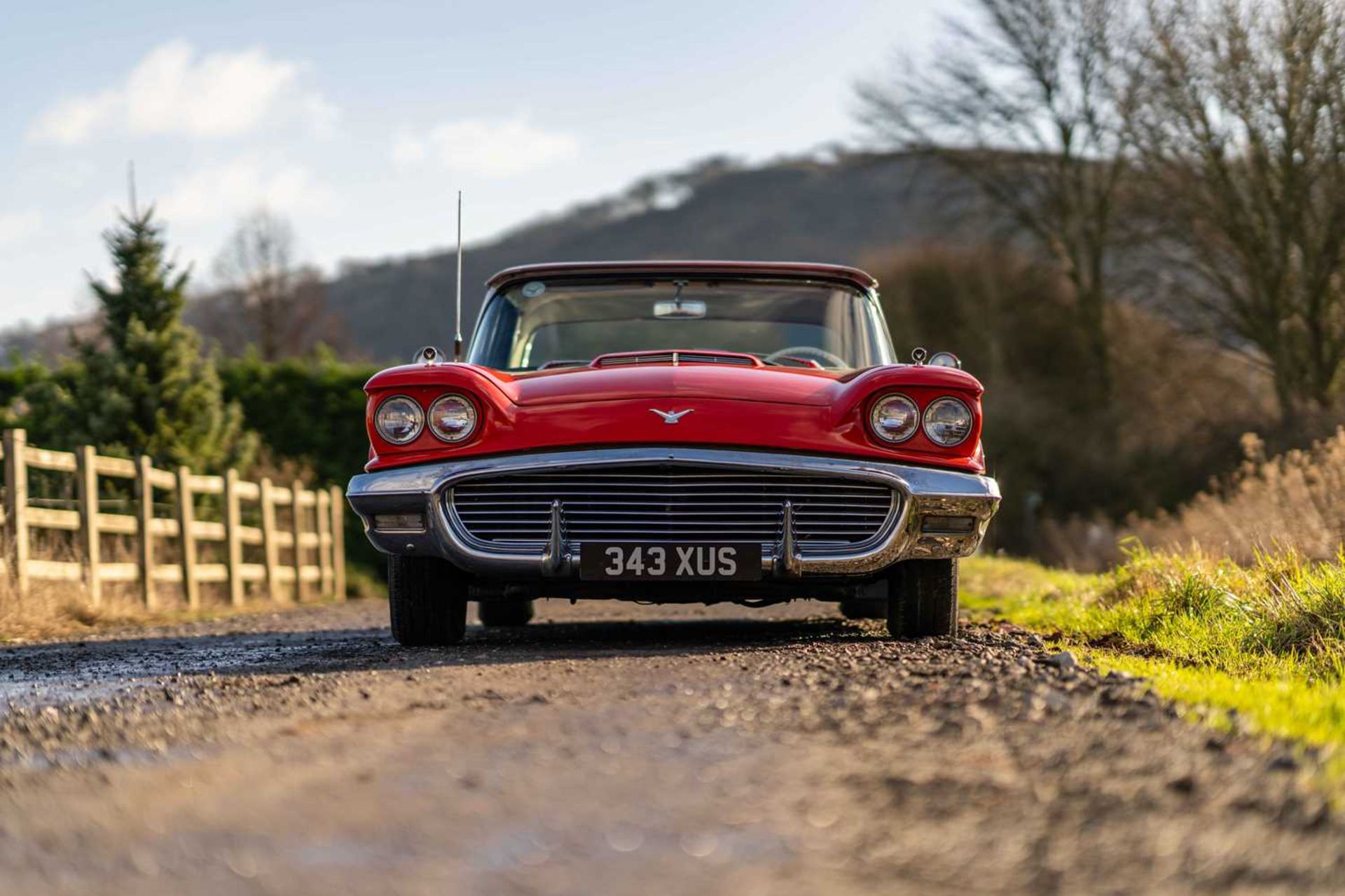 1959 Ford Thunderbird ***NO RESERVE*** - Image 4 of 54