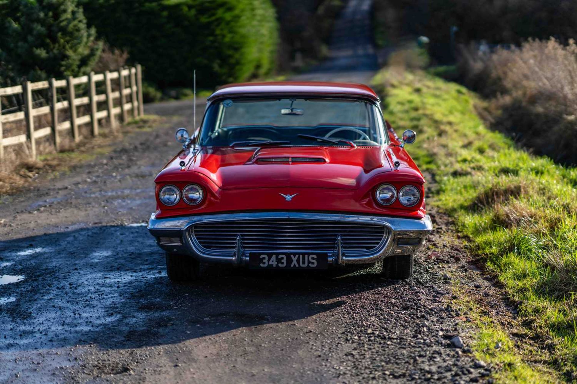 1959 Ford Thunderbird ***NO RESERVE*** - Image 2 of 54