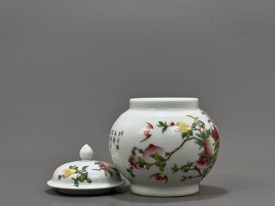 Qing Dynasty Yongzheng enamel jar with three patterns - Image 6 of 9