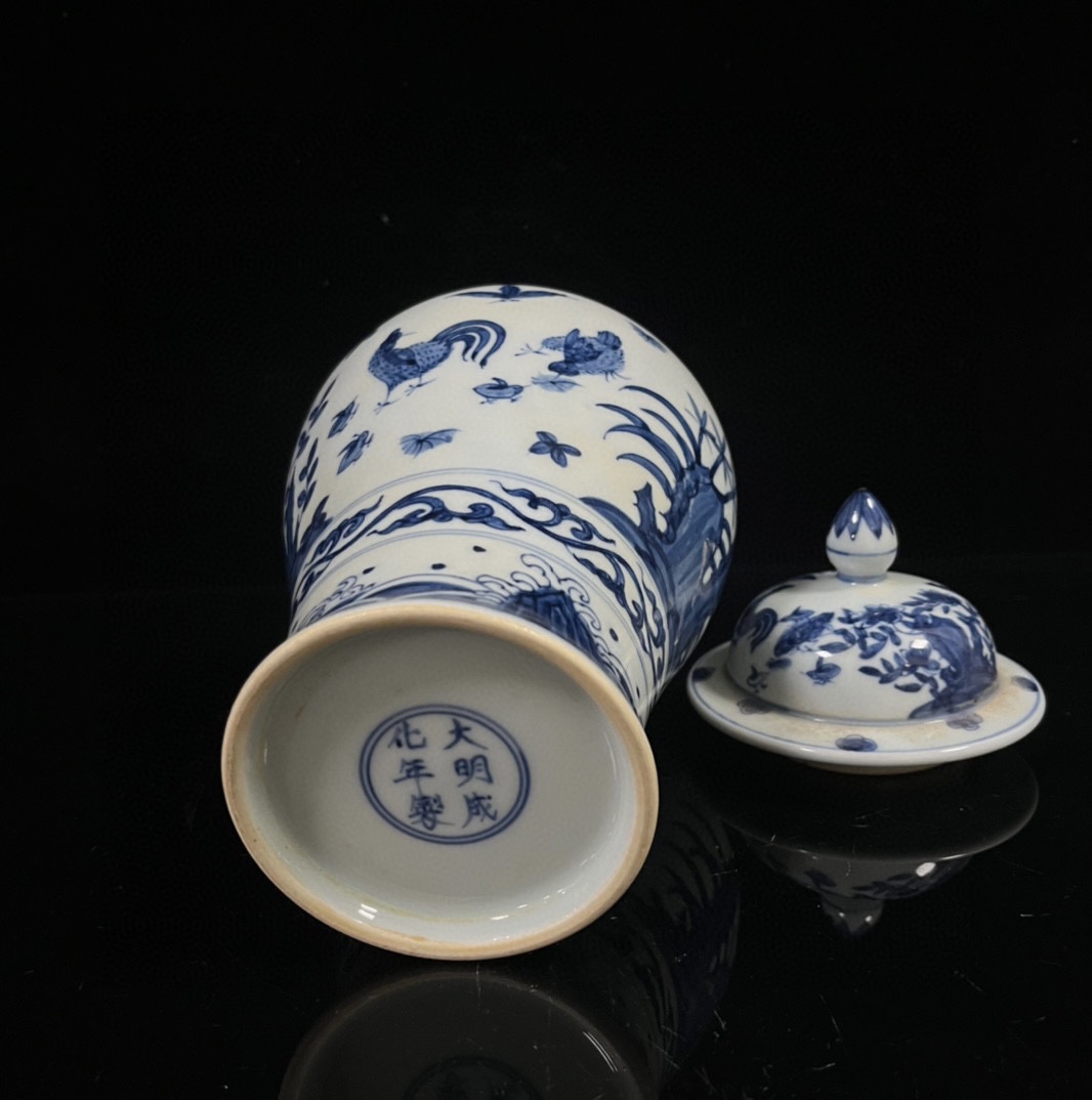 Ming Dynasty Chenghua year blue and white painted chicken and flower general jar - Image 8 of 8