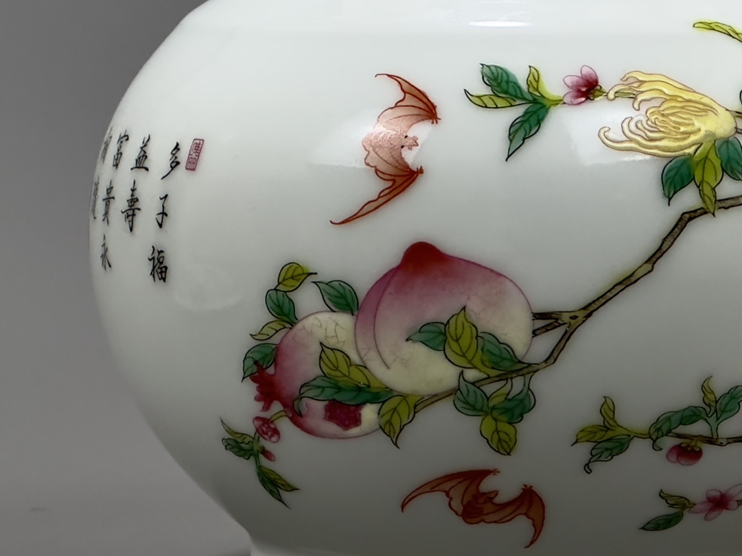 Qing Dynasty Yongzheng enamel jar with three patterns - Image 7 of 9