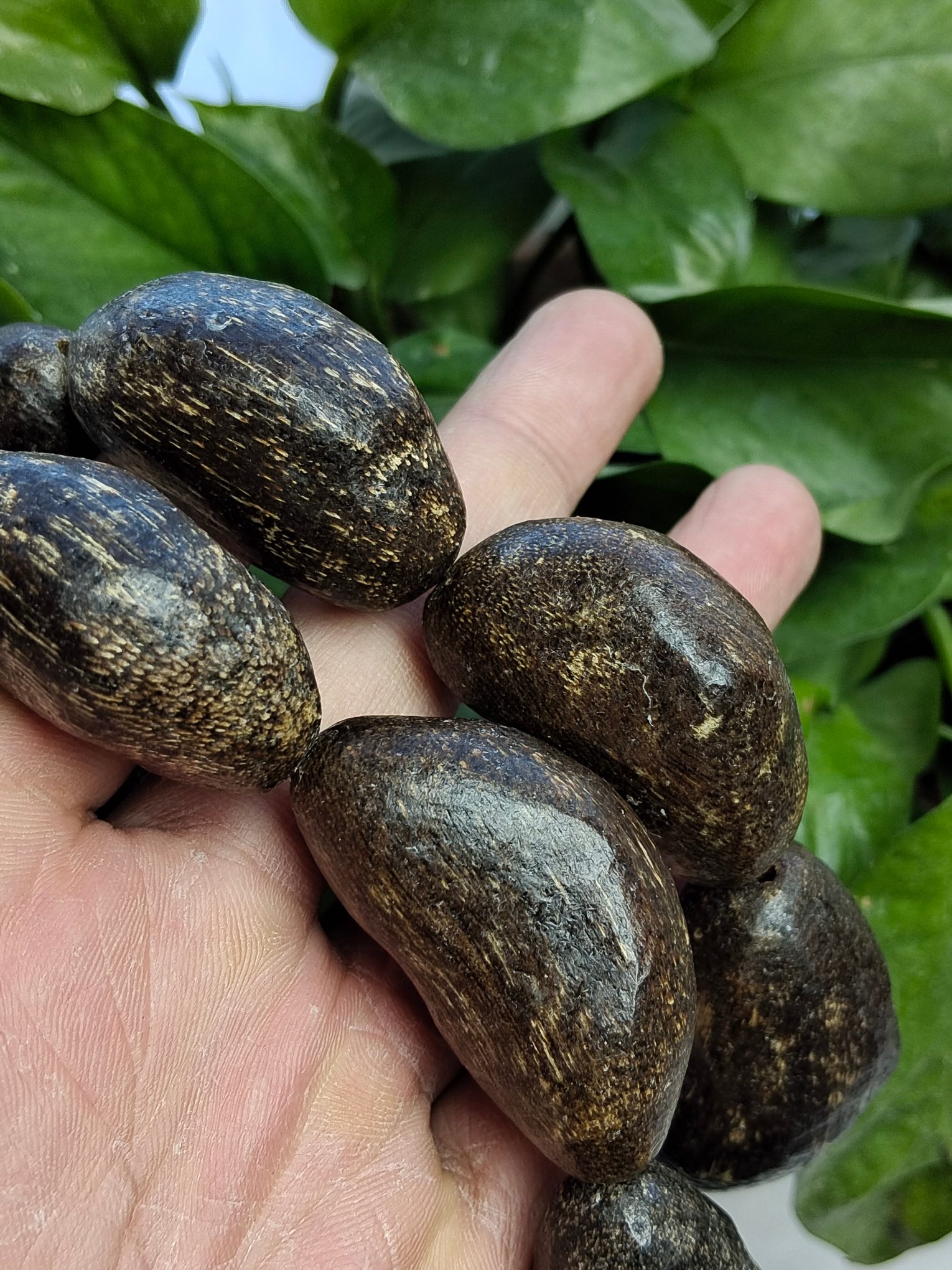 Big agarwood bracelets, full of fat and good fragrance - Bild 3 aus 7