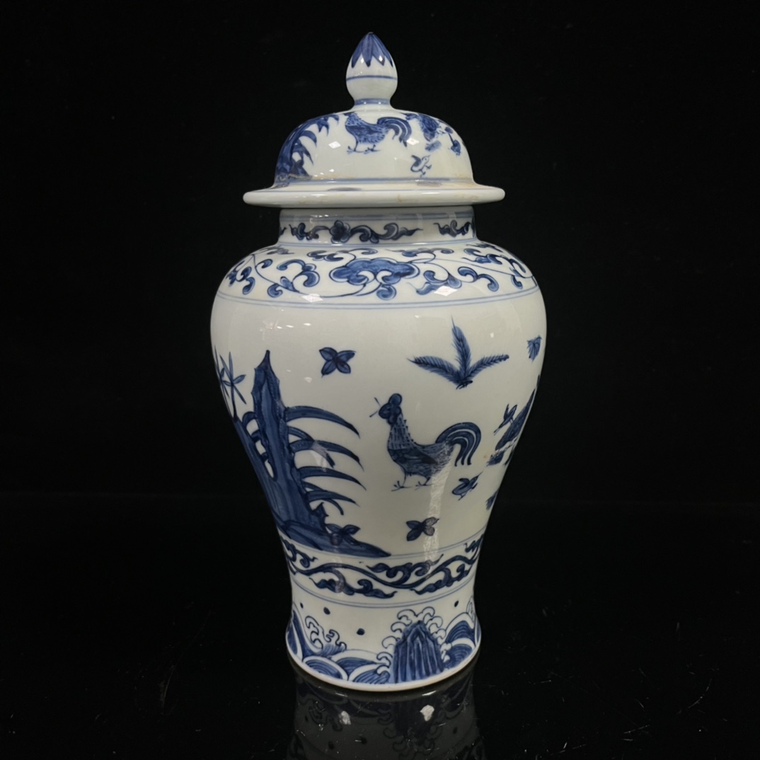 Ming Dynasty Chenghua year blue and white painted chicken and flower general jar - Image 5 of 8