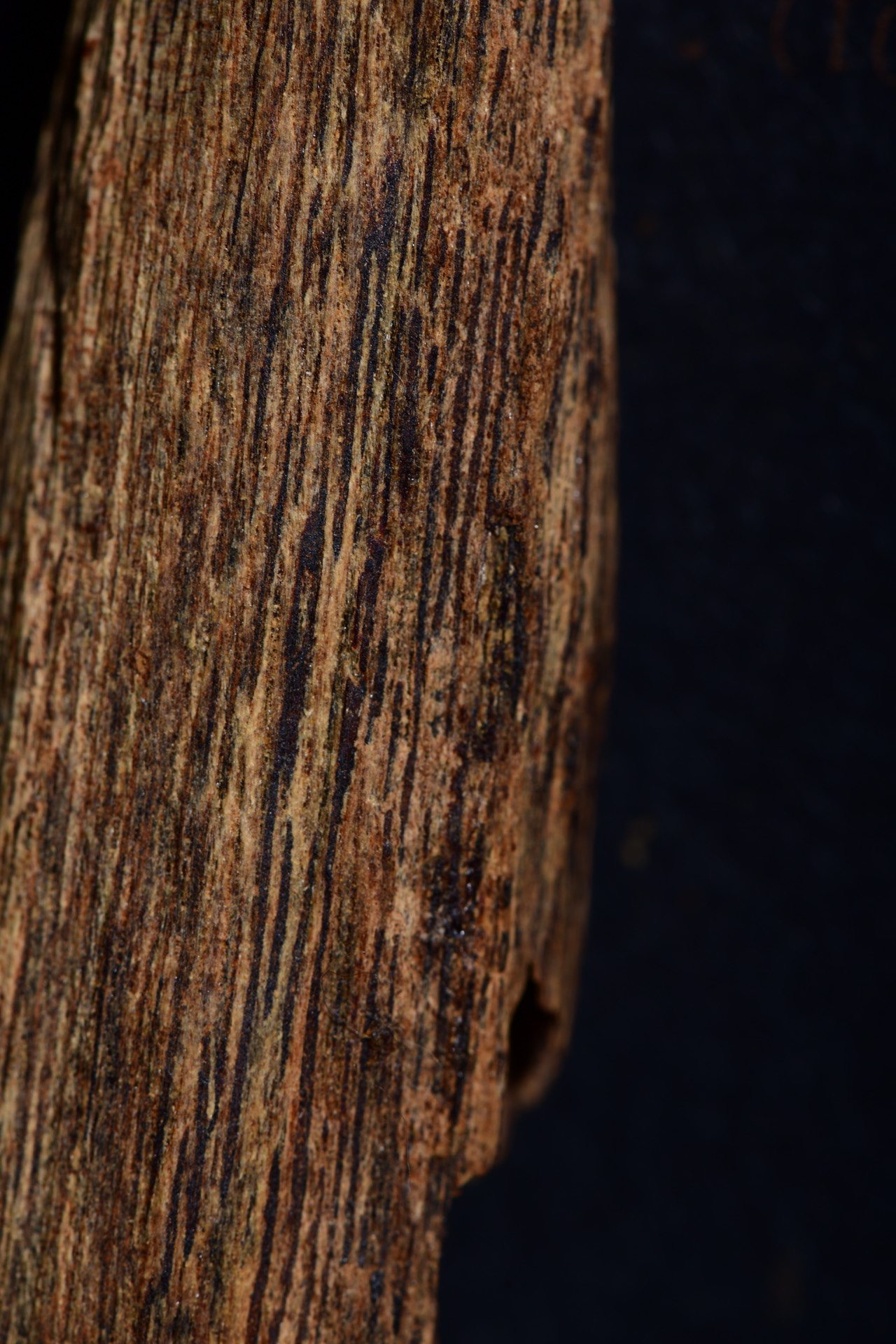 Red earth agarwood - Image 5 of 9