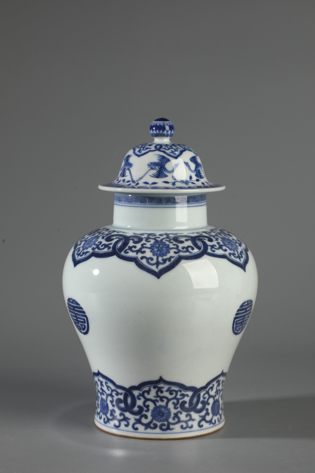 Blue and white jar made during the reign of Emperor Kangxi of the Qing Dynasty - Image 5 of 9