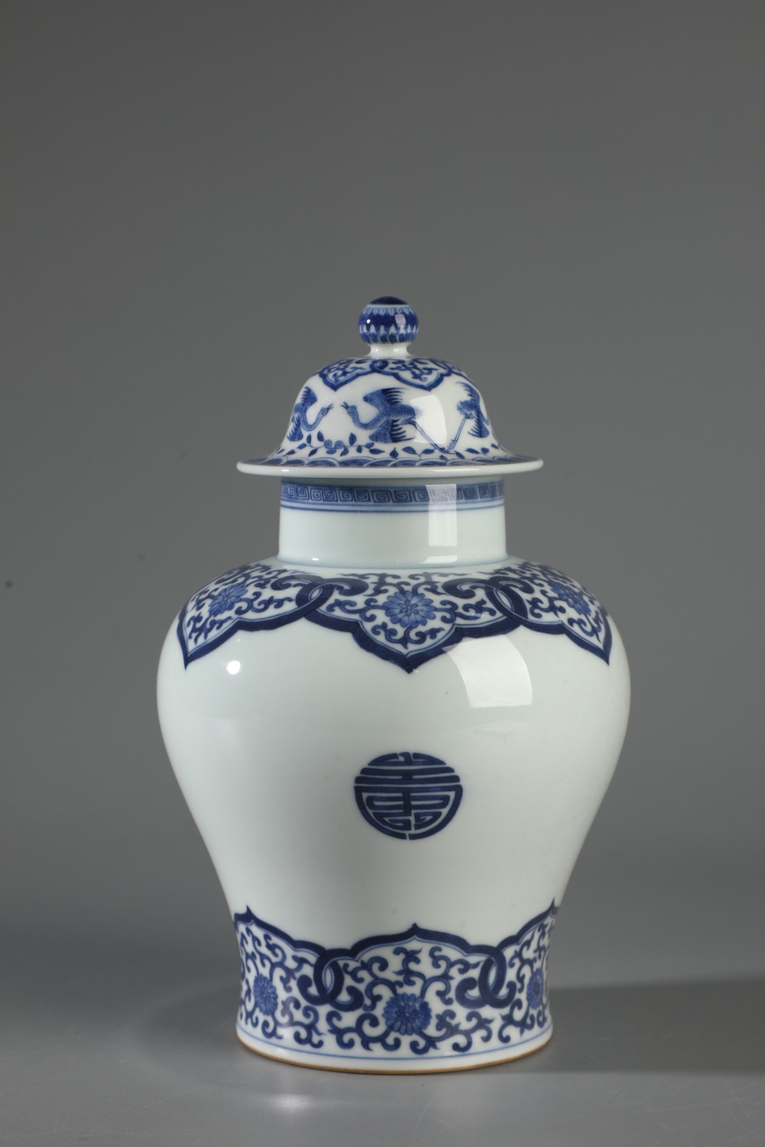Blue and white jar made during the reign of Emperor Kangxi of the Qing Dynasty - Image 2 of 9