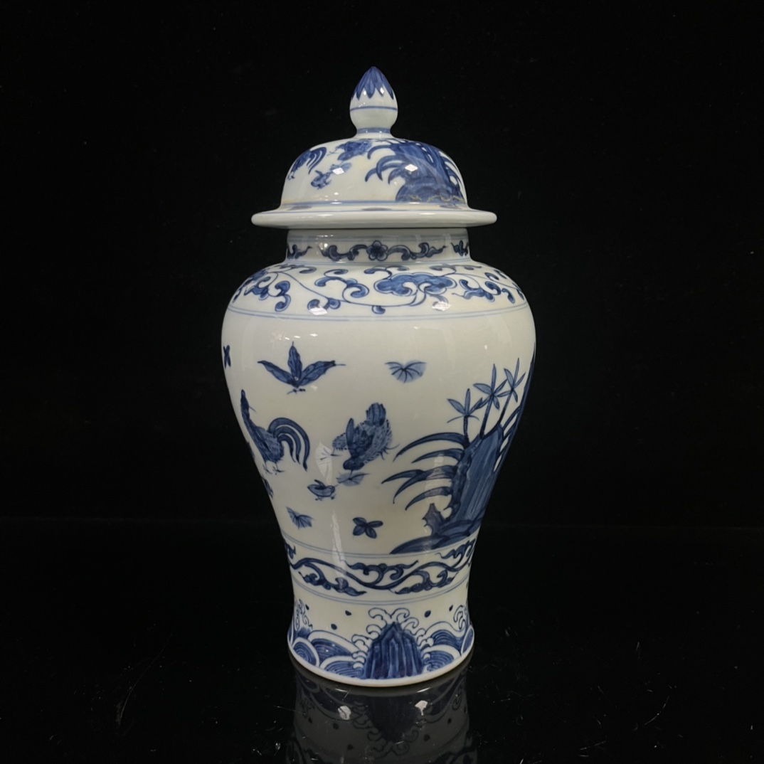 Ming Dynasty Chenghua year blue and white painted chicken and flower general jar - Image 3 of 8
