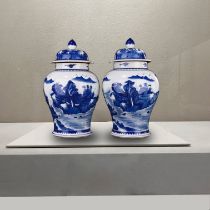 Qing Kangxi blue and white landscape general jar