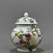 Qing Dynasty Yongzheng enamel jar with three patterns