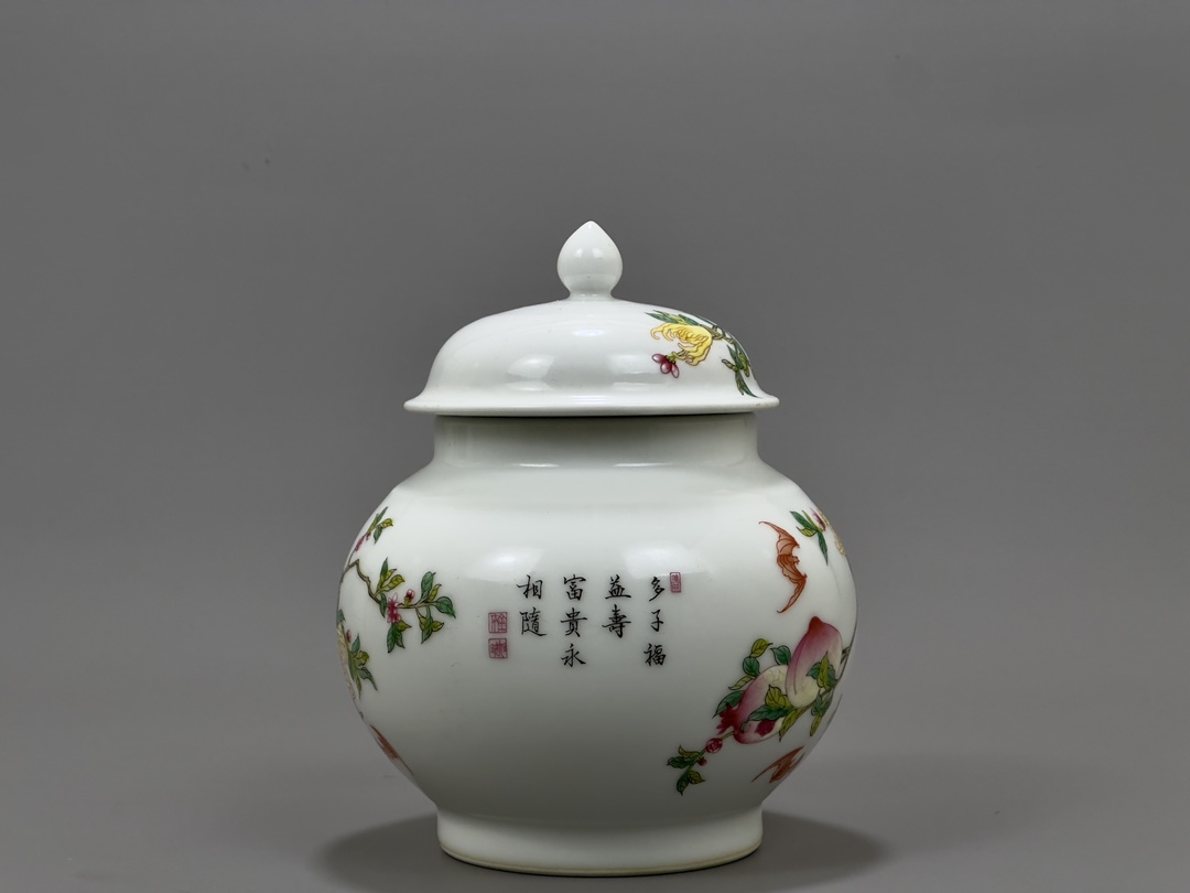 Qing Dynasty Yongzheng enamel jar with three patterns - Image 5 of 9