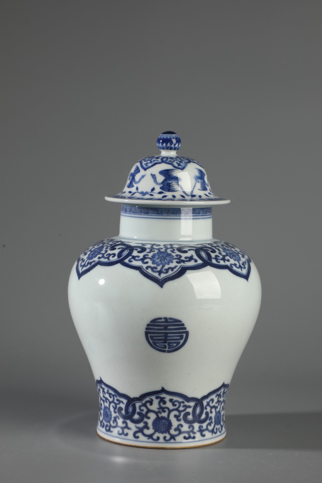 Blue and white jar made during the reign of Emperor Kangxi of the Qing Dynasty - Image 6 of 9