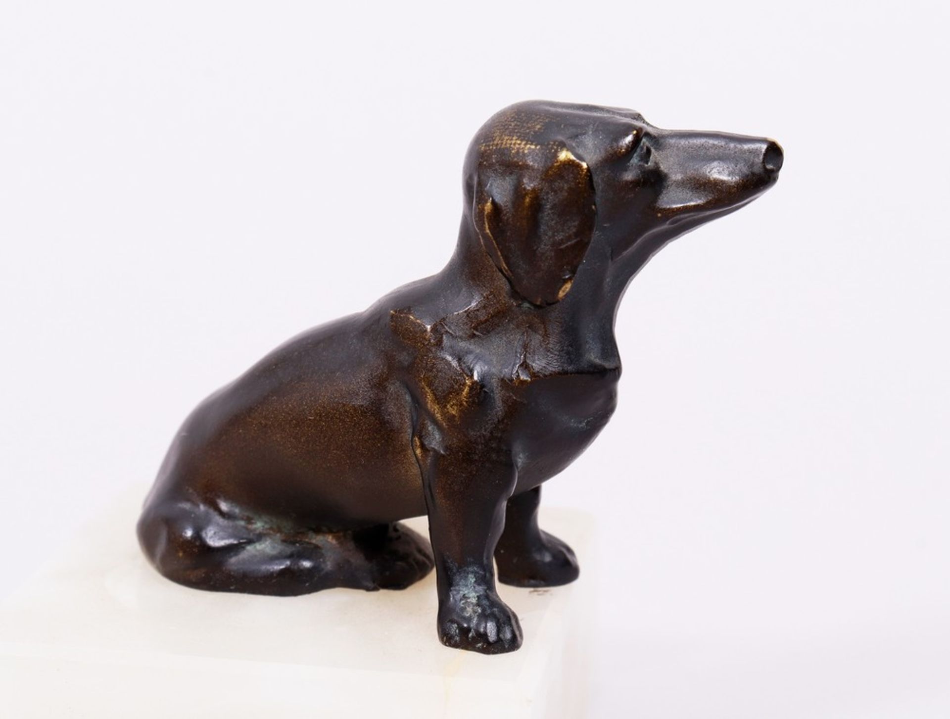 Small dachshund, probably German, 20th C. - Image 4 of 5