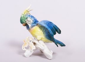 Cockatoo on a branch, Karl Ens, Volkstedt, 20th C.
