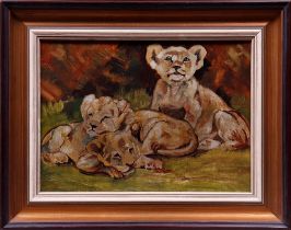 Studie von drei jungen Löwen, 1. Hälfte 20.Jh.