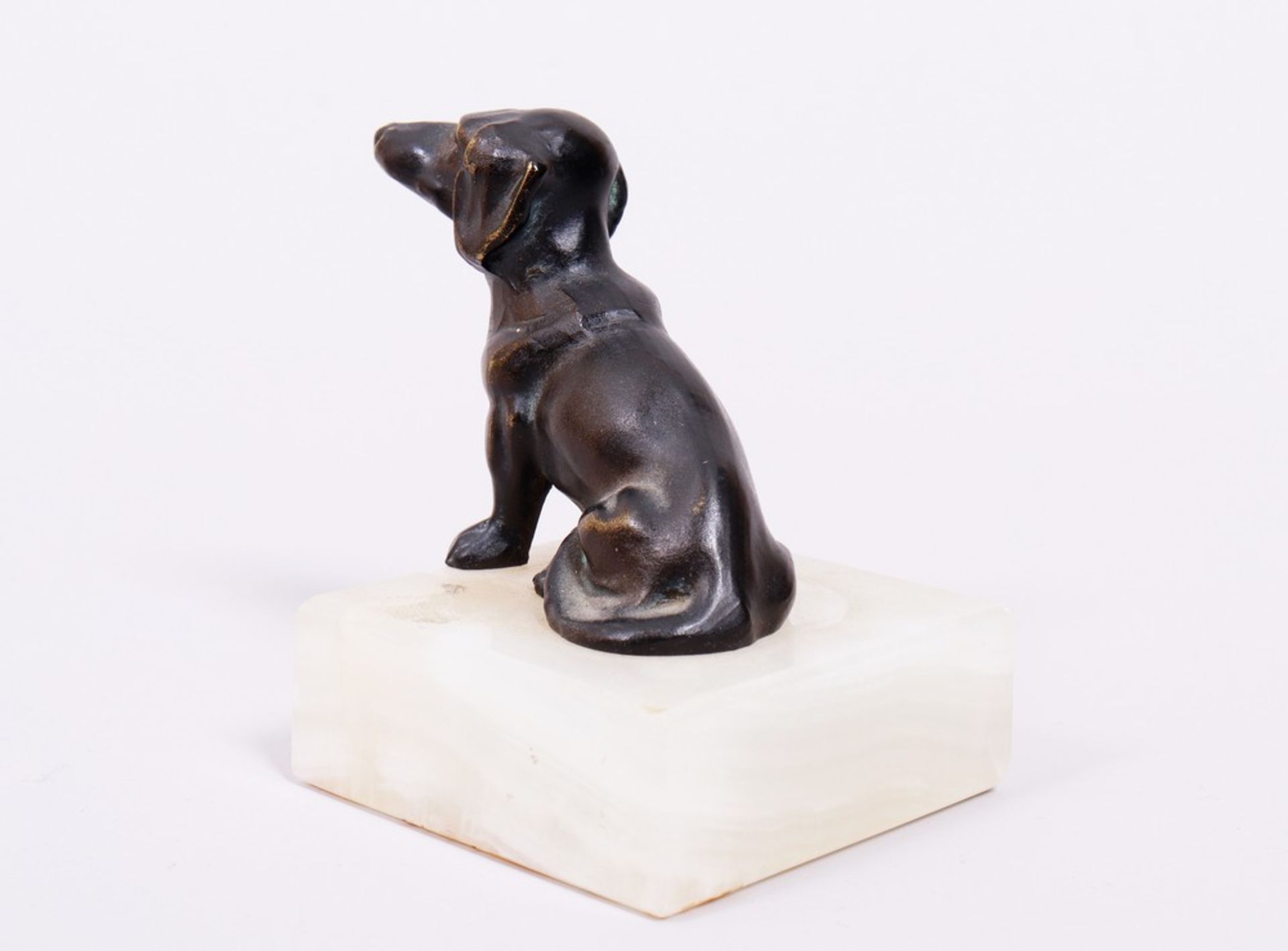Small dachshund, probably German, 20th C. - Image 5 of 5