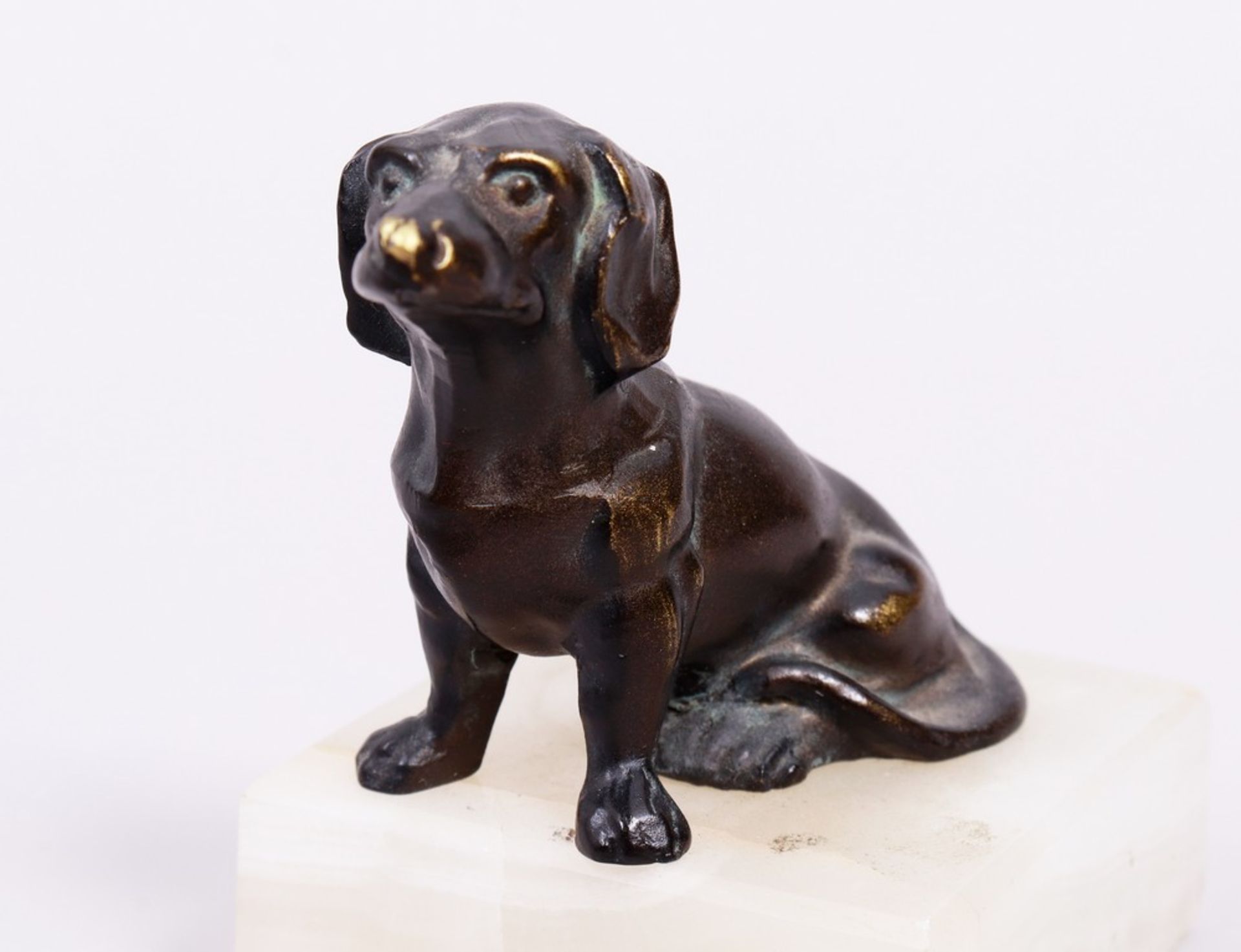 Small dachshund, probably German, 20th C. - Image 2 of 5