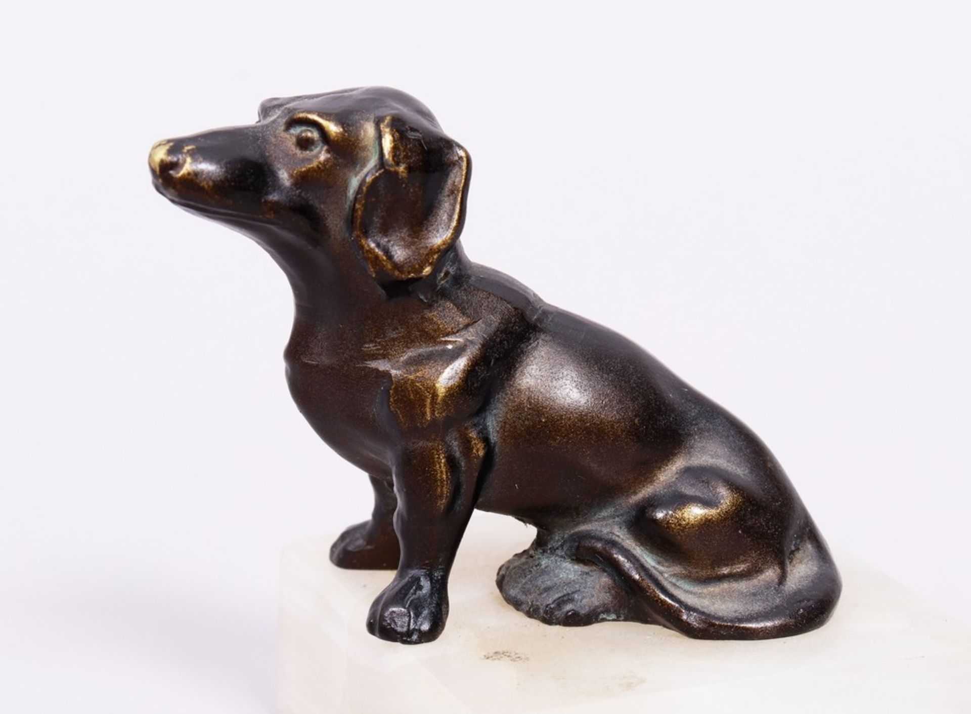 Small dachshund, probably German, 20th C. - Image 3 of 5