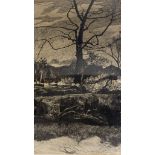 Barlow Bohuslav (1947) charcoal sketch, tree in a landscape, initialled BB, in a silvered frame