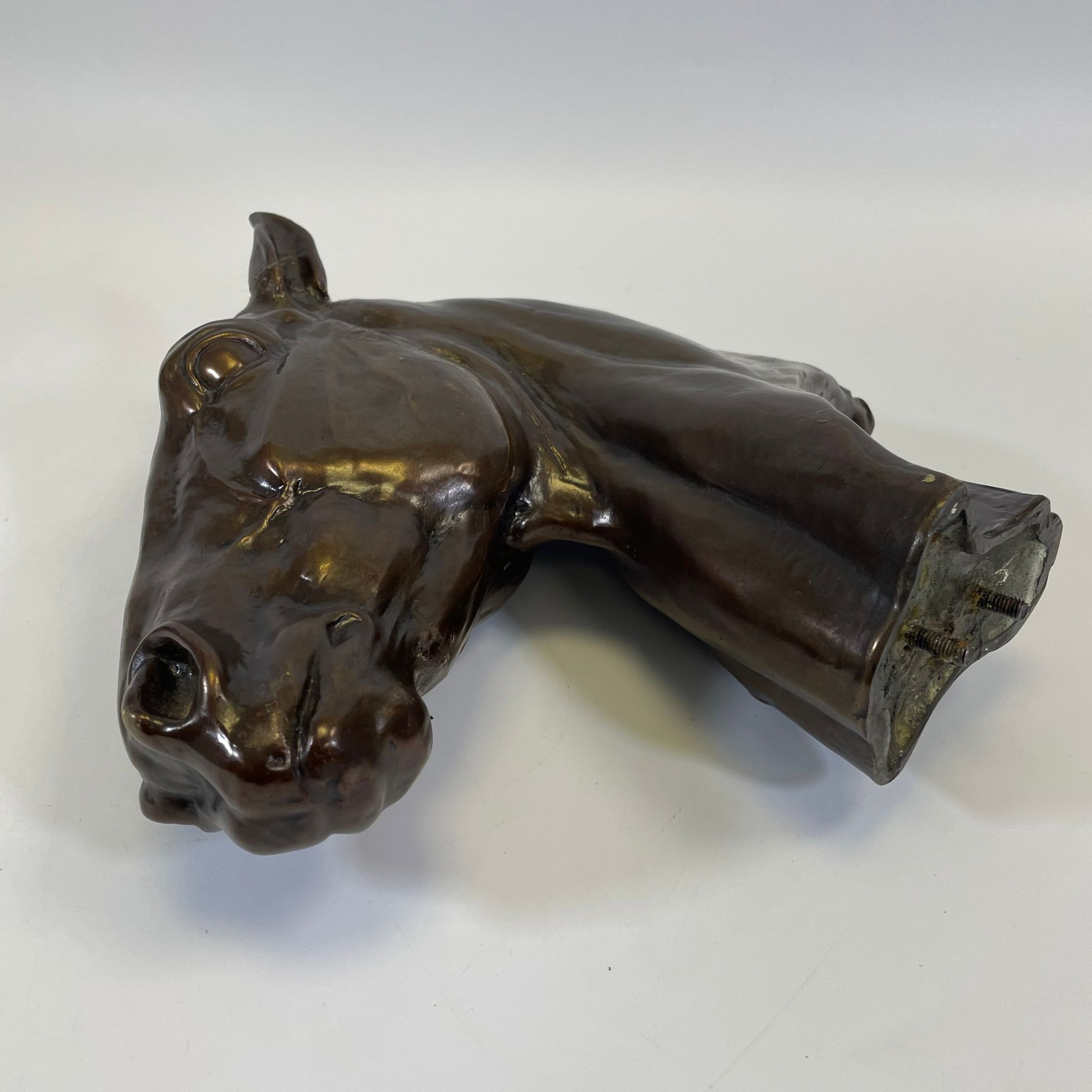 A bronze horses head after Albert Hinrich Hussmann (1874-1946) no. 1697/1.  29cm tall missing base - Image 4 of 6