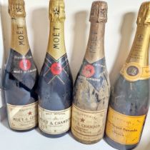 Three bottles of Moet & Chandon champagne, all seals appear good. One with a covering of cellar dust