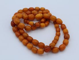 A strand of graduated egg yolk amber type beads, ranging from 12mm x 8mm, to 18mm x 14mm