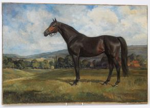 Early 20th Century English School, a bay thoroughbred in an extensive midsummer landscape. Oil on