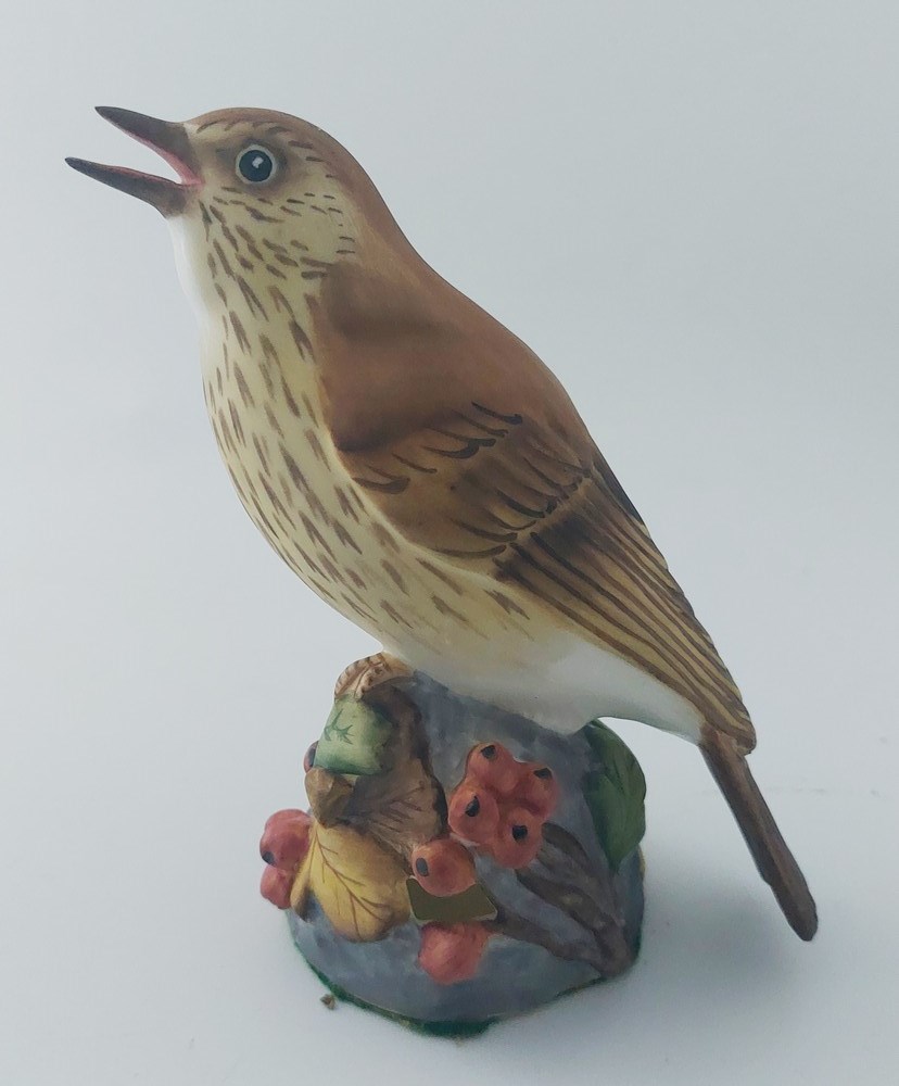 A Coalport artist's sample plate painted with a bee-eater by R. Blyth within a black and gilt - Image 5 of 6