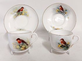 A group of Ornithological themed Royal Worcester cups and saucers. Puce Back stamps  A Robin cup and