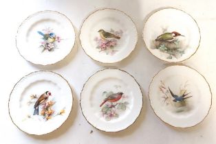 A small group of 6 Royal Worcester Ornithological themed ceramics by W Powell The lot comprises of